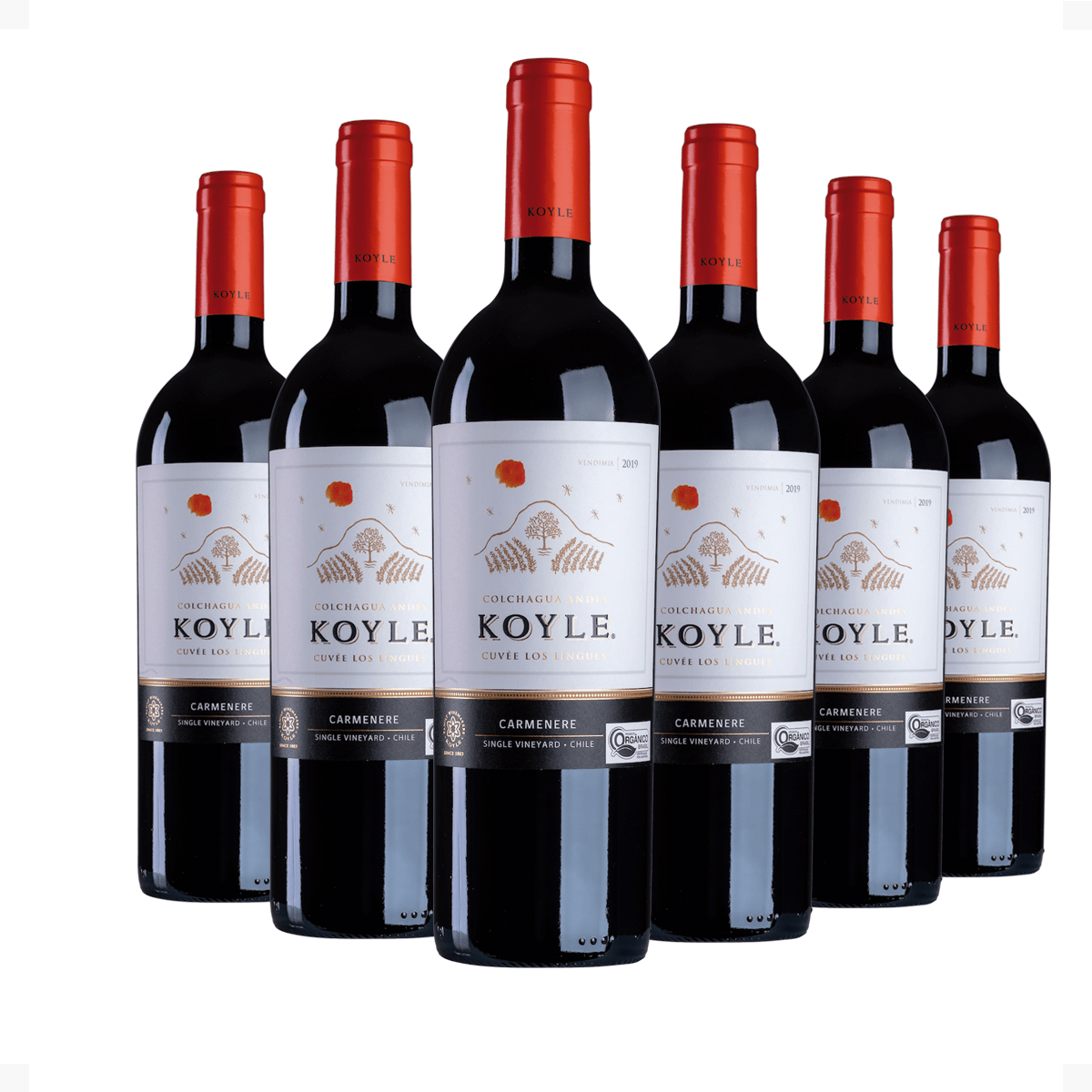 Kit 6 Koyle Cuvée Los Lingues Carménère